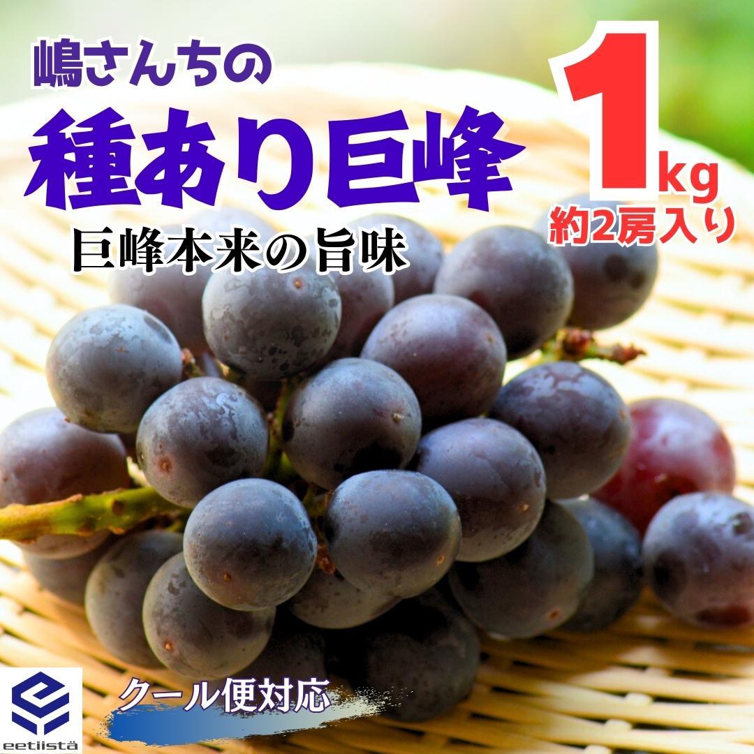 種あり巨峰 1kg ( 約1〜3房入 ) 和歌山県産 産地直送 クール便対応和歌山県有田川町11000果物・フルーツマスカット・ぶどう