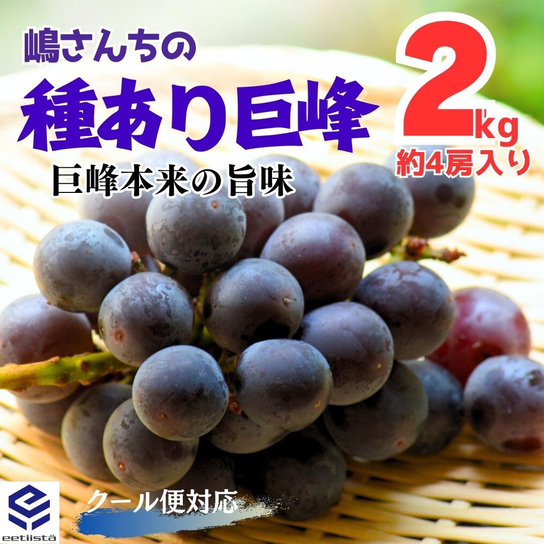 種あり巨峰 2kg ( 約2〜4房入 ) 和歌山県産 産地直送 クール便対応和歌山県有田川町18000果物・フルーツマスカット・ぶどう