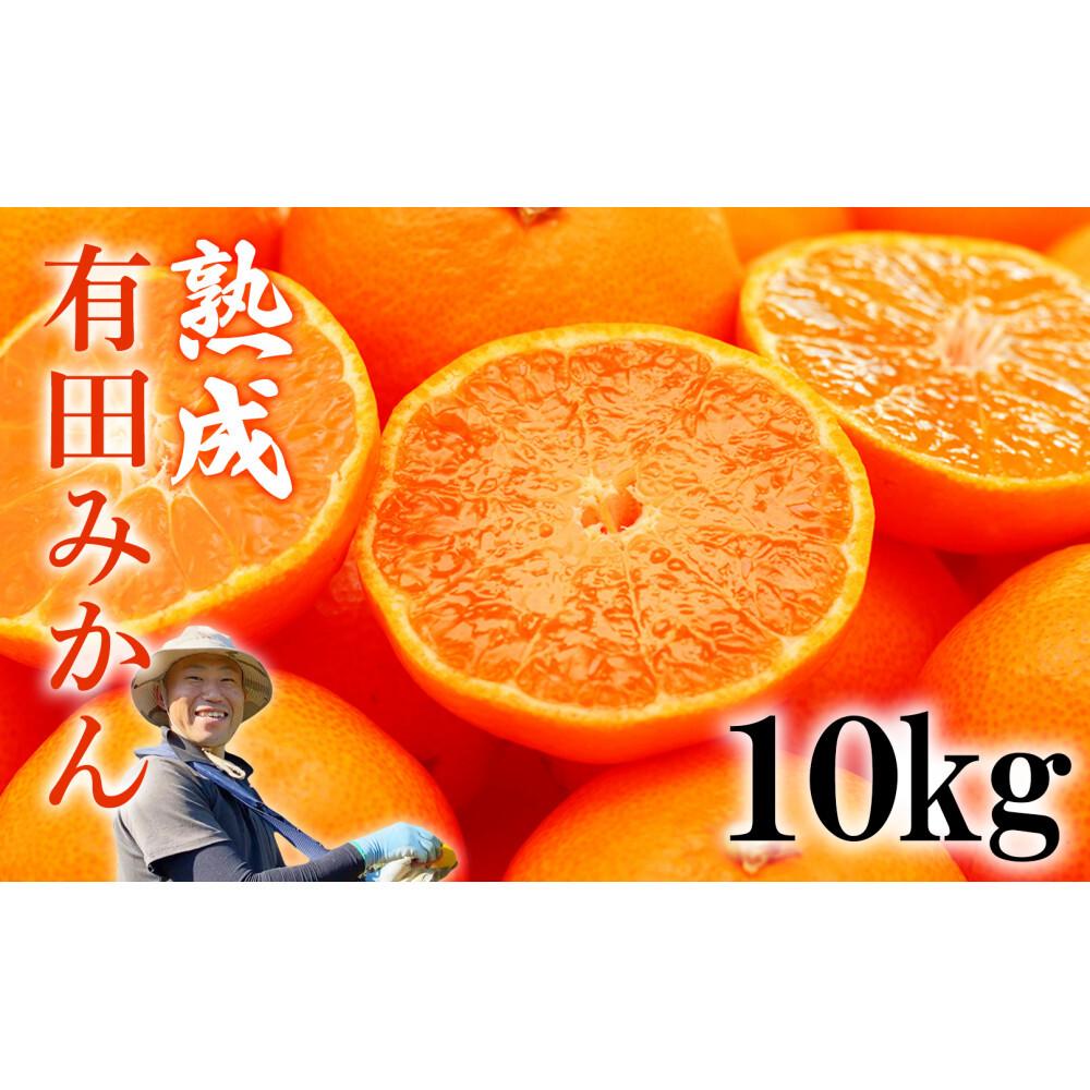 熟成 有田みかん 10kg(約100個)和歌山県有田川町13000果物・フルーツみかん・柑橘類