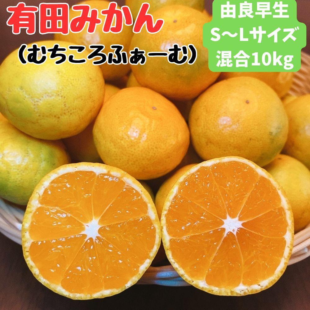 有田みかん 由良早生S〜Lサイズ混合 約10kg 【2025年発送 先行予約】和歌山県有田川町20000果物・フルーツみかん・柑橘類