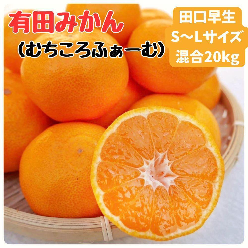 有田みかん 早生S〜Lサイズ混合 約20kg和歌山県有田川町33500果物・フルーツみかん・柑橘類