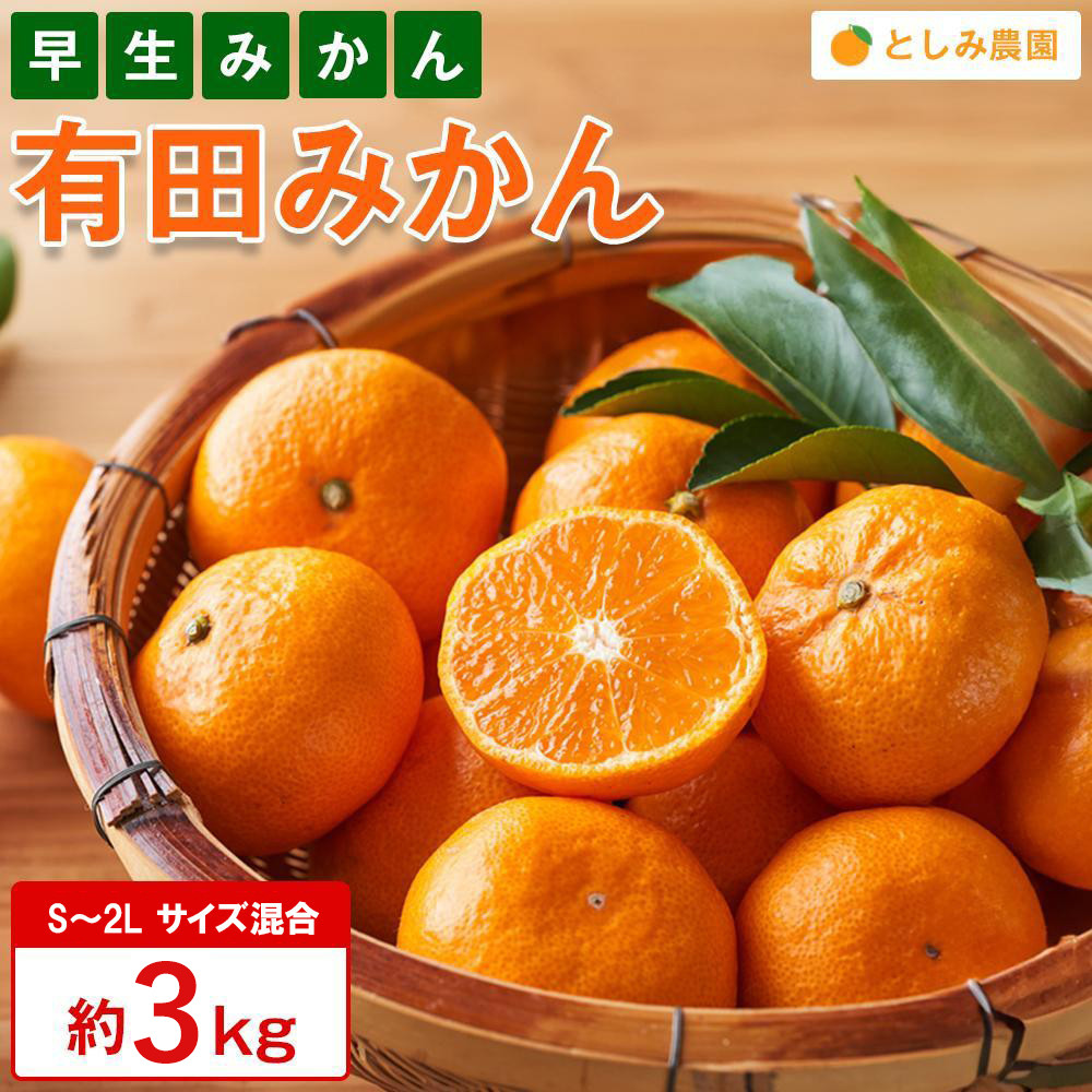 有田みかん 早生みかん 秀品または優品 約3kg S〜2Lサイズ混合 としみ農園和歌山県有田川町10000果物・フルーツみかん・柑橘類