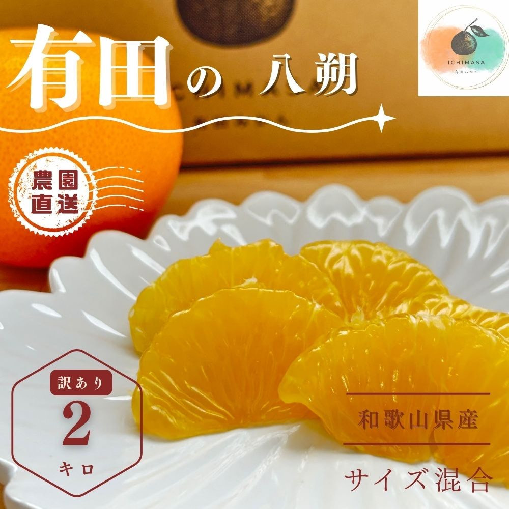 【ふるさと納税】【先行予約】 八朔 2kg 訳あり サイズ混合 柑橘 フルーツ はっさく 産地直送 お取り寄せ 和歌山県有田川町5000果物・フルーツみかん・柑橘類