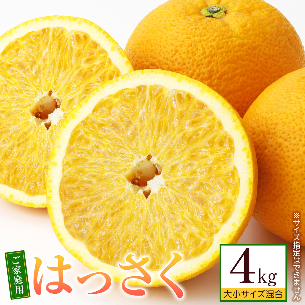 ms\nƒp ͂4kg 召TCY a̎RLc쒬5000ʕEt[c݂Ek