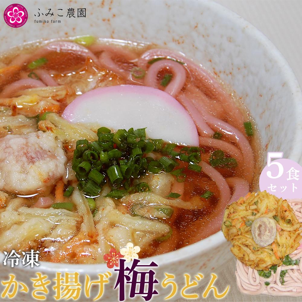 冷凍 かき揚げ梅うどん5食和歌山県有田川町12000麺うどん