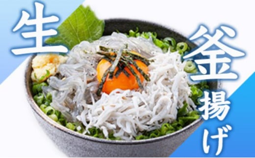 生しらす 釜揚げしらす 計920g 260g × 2 パック 100g × 4 パック シラス 魚 釜揚げ 生 湘南しらす sirasu じゃこ ちりめん しらす干し 江の島しらす イワシ 小分け 便利 手軽 海鮮 新鮮 魚介 魚貝 小