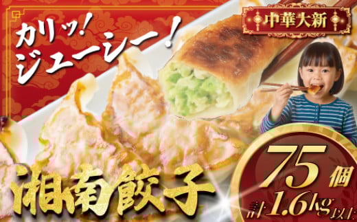 ぎょうざ 餃子 75個 ( 25個 × 3 パック ) ギョーザ ギョウザ 冷凍餃子 冷凍食品 生餃子 冷凍 肉汁 大きい 小分け パック 豚肉 ぶた 野菜 焼き餃子 gyouza ご飯 おかず 夕食 おつまみ つまみ 晩酌 簡