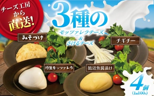 チーズ モッツァレラ 3種+ チギチー チーズ 4種セット 極生 魚醤漬け 味噌漬け チギチー モッツァレラチーズ 裂けるチーズ ちーず ナチュラルチーズ cheese ビール おつまみ おやつ 人気 お取