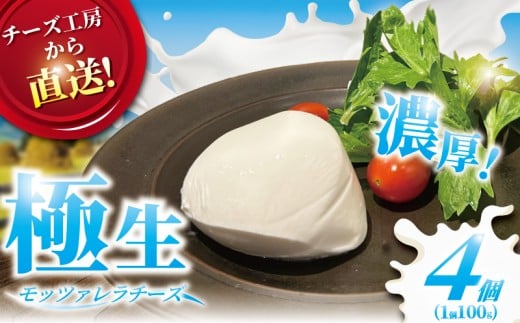 チーズ モッツァレラ チーズ 4個 極生 モッツァレラチーズ ちーず ナチュラルチーズ cheese フレッシュチーズ ミルク 新鮮 出来立て 直送 ビール おつまみ おやつ ピザ パスタ 人気 ギフト お