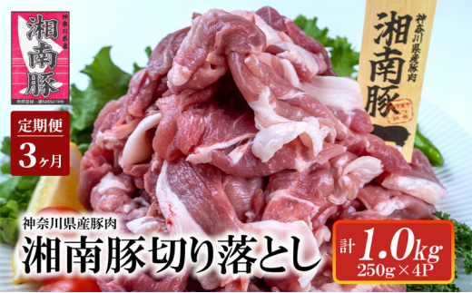 y3ցzÓ ؂藎 1.0kg  250g × 4P 3 Ⓚ   Ԃɂ Ԃ Pork ؓ uh ؂藎Ƃ Y Y _ސ쌧Y   ɂ |[N Ⓚ IĂ u
