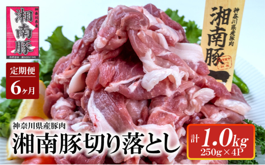 【6ヵ月定期便】湘南豚 切り落し 1.0kg 小分け 250g × 4P 6か月 冷凍 豚 ぶたにく ぶた肉 Pork 豚肉 ブランド豚 切り落とし 国産 国産豚 神奈川県産 定期便 肉 にく ポーク 冷凍 生姜焼き 野菜炒め