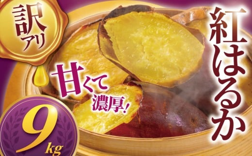 訳あり 紅はるか 9kg 11月以降発送 開始 さつまいも 訳アリ 訳有 サツマイモ 薩摩芋 さつま芋 デザート べにはるか スイーツ 甘芋 スイートポテト sweet potato 蜜 蜜芋 芋 イモ 旬 秋野菜 秋の味