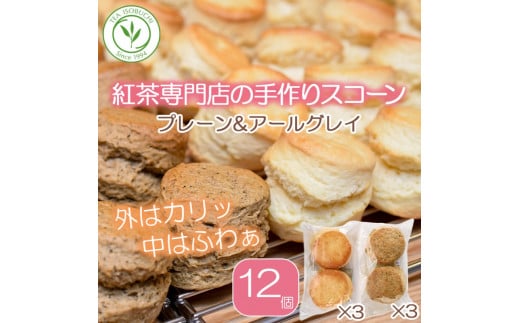スコーン 12個 セット 2種 ( プレーン 6個 アールグレイ 6個 ) 焼き菓子 お菓子 焼菓子 おやつ 洋菓子 デザート スイーツ 人気 発酵 バター コク 風味 すこーん 常温 ミルクティー 手土産 ギフト