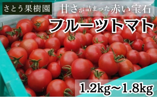 フルーツトマト 高糖度 1.2kg〜1.8kg フルティカ ミニトマト トマト 完熟 高品質 甘い 極上 旨味 とまと プチ tomato 野菜 やさい yasai ハウストマト ハウス栽培 サラダ ビタミン C リコピン 美肌