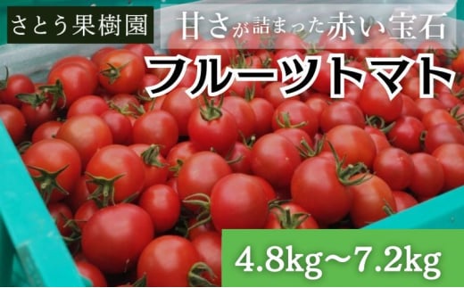 フルティカ フルーツトマト 高糖度 4.8kg〜7.2kg ミニトマト トマト 完熟 高品質 甘い 極上 旨味 とまと プチ tomato 野菜 やさい yasai ハウストマト ハウス栽培 サラダ ビタミン C リコピン 美肌
