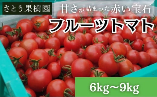 フルティカ フルーツトマト 高糖度 6kg〜9kg ミニトマト トマト 完熟 高品質 甘い 極上 旨味 とまと プチ tomato 野菜 やさい yasai ハウストマト ハウス栽培 サラダ ビタミン C リコピン 美肌 美容