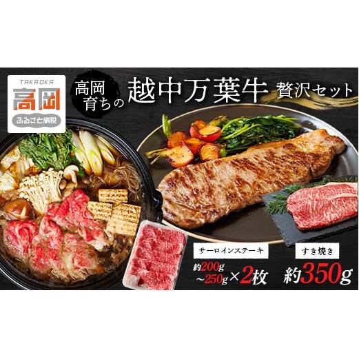 高岡育ちの越中万葉牛 贅沢セット(すき焼き用約350g+ステーキ用約200〜250g×2) サーロイン 牛 肉 ステーキ すきやき スキヤキ 国産 セット 牛肉 お肉  FAD-0078富山県高岡市33000肉牛肉