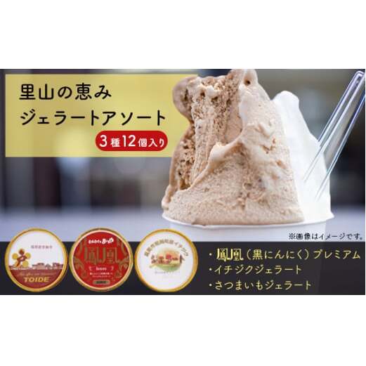 里山の恵みジェラートアソート3種12個入り スイーツ ひんやり 食べ比べ ジェラートセット 詰め合わせ にんにく 濃厚 さつまいも 滑らか食感 いちじく 野菜 フルーツ  FAD-1048富山県高岡市22000