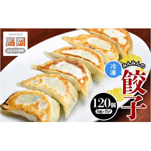 みんみんの餃子120個 (8コ×15パック) 餃子専門店 みんみん みんみん餃子 ギョーザ ぎょうざ ギョウザ 富山 惣菜 おかず 中華 点心 冷凍 冷凍食品 肉加工品 加工品 富山県高岡市 FAD-1459富山