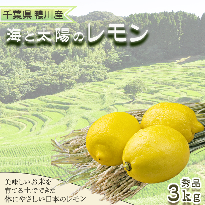 s11ty܂ŐHׂzCƑz̃yGizRkgi25j [0011-0057]ts11000ʕEt[c݂Ek