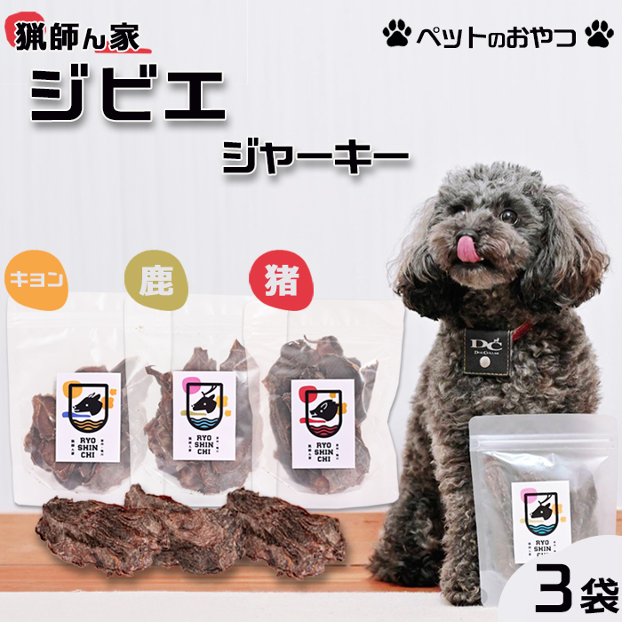 ytƁz ̂wWrG W[L[iELEjxR܁@[0011-0077]ts11000WrG