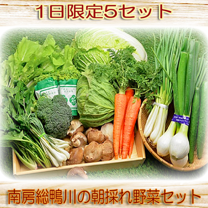 y15Zbgz[-̒̂؃Zbg [0014-0027]ts14000؁Ê̂
