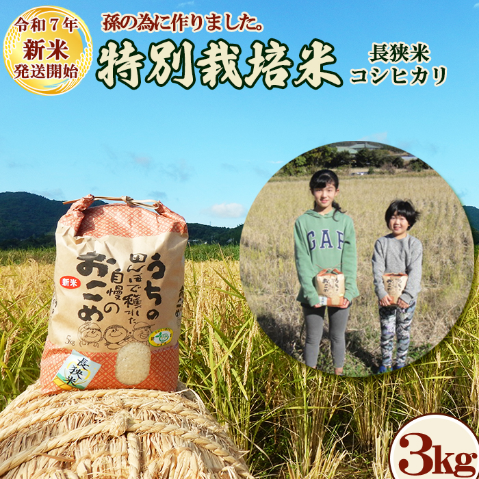 sߘaVNY Vāt̂߂ɍ܂Ic_́wʍ͔|āxsāt Rkg@[0020-0097]ts20000āEpāEGāEāE