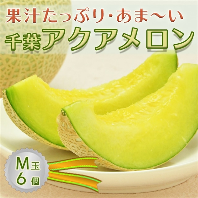 y_ztANA Mʈȏ × 6 [0050-0051]ts50000ʕEt[cEXCJ