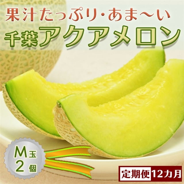 定期便】高橋メロン農園『千葉アクアメロン』L玉以上 1個 × 5回