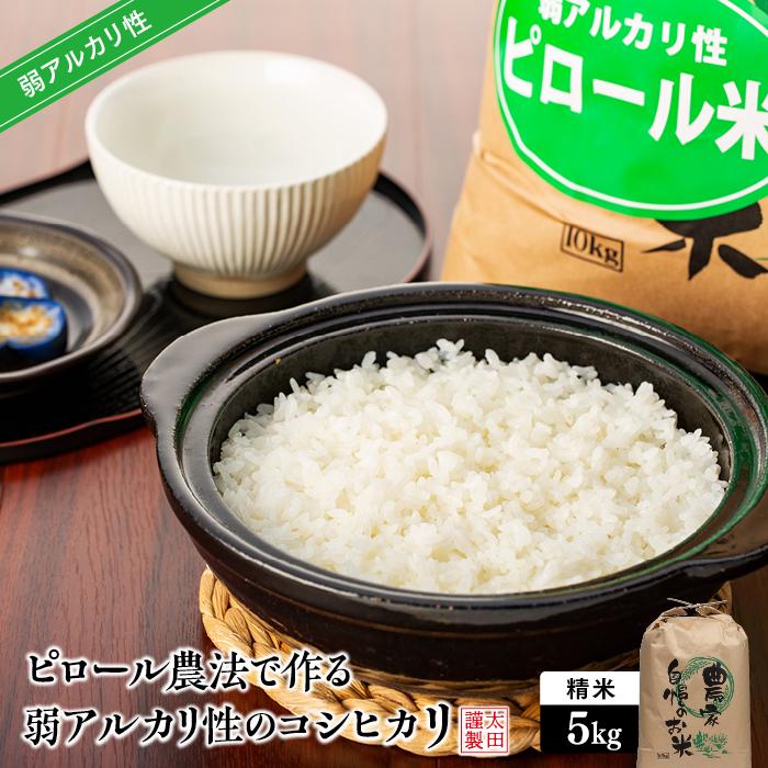 yց@S3zs[_@ōAJ̃RVqJ 5kga̎RߒqY48000āEp