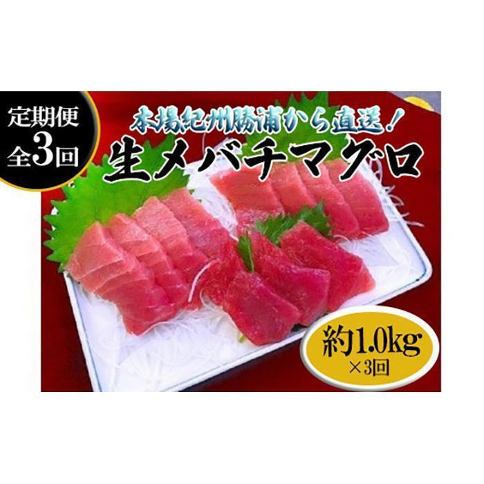 【定期便全3回】生まぐろの本場紀州勝浦から直送! 生メバチマグロ 約1kg(1カ月に1回お届け)(全3ヵ月)和歌山県那智勝浦町65000魚介・海産物鮮魚