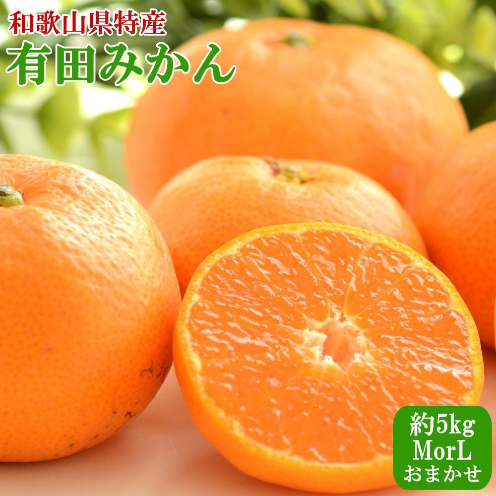 [Gi]a̎RLc݂5kg(M܂LTCY) 2025N11{菇mTM98na̎RߒqY13000ʕEt[c݂Ek