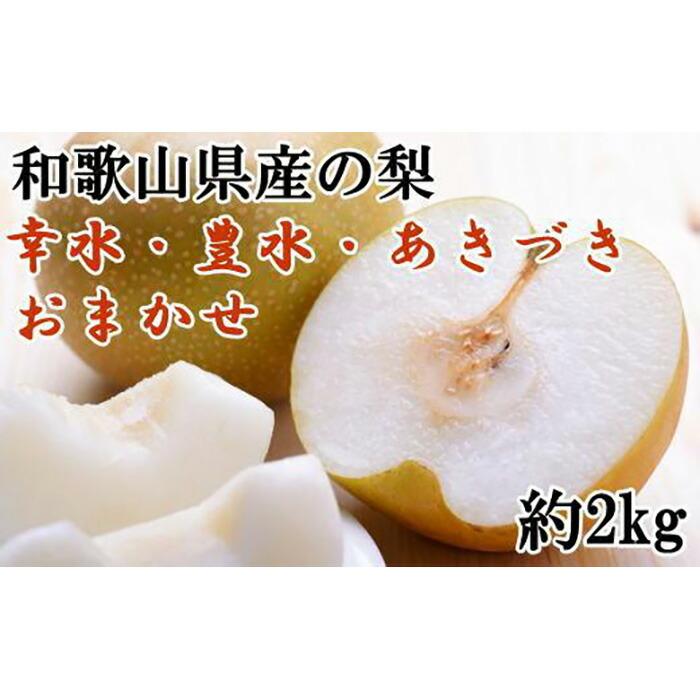 a̎RY̗2kg(i킨܂)2026N8{菇yTM181za̎RߒqY13000ʕEt[c񂲁E