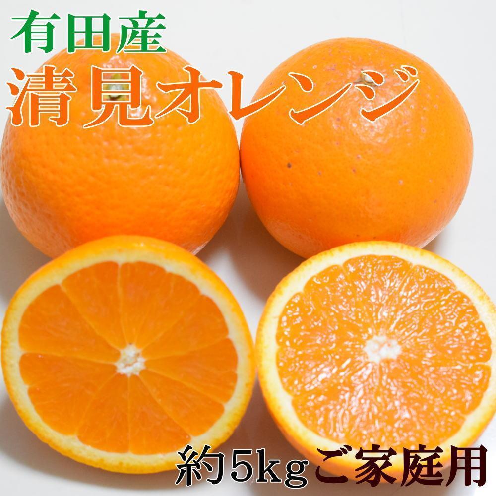 mZnLcYIW5kgiTCY܂Eƒpj2026N2{菇mTM151na̎RߒqY14000ʕEt[c݂Ek