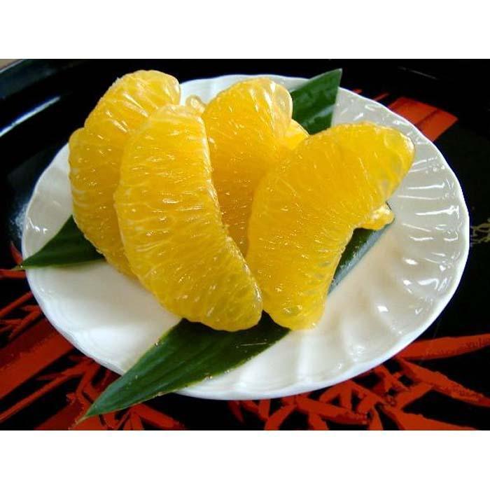 和歌山由良町産 はっさく 約3kg サイズ混合 【訳あり ご家庭用 キズあり】【SL39】和歌山県那智勝浦町9000果物・フルーツみかん・柑橘類
