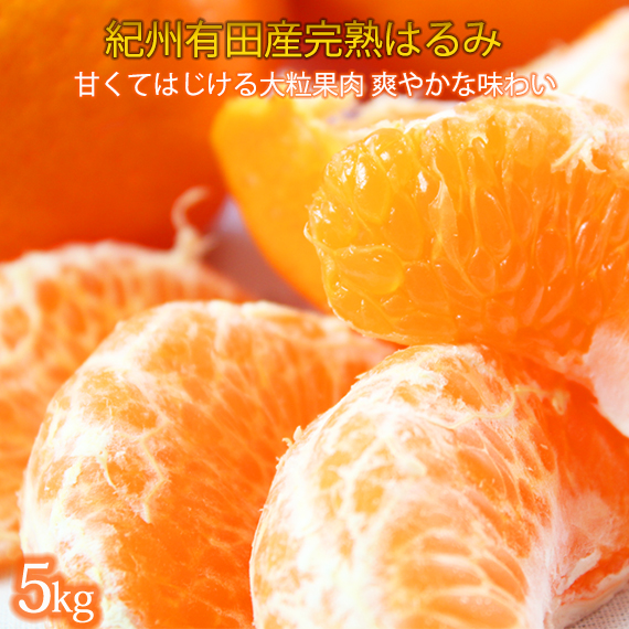 果肉ぷりぷり!完熟はるみ 5kg【2026年2月中旬頃〜2026年2月下旬頃に順次発送】【UT22】和歌山県那智勝浦町16000果物・フルーツみかん・柑橘類
