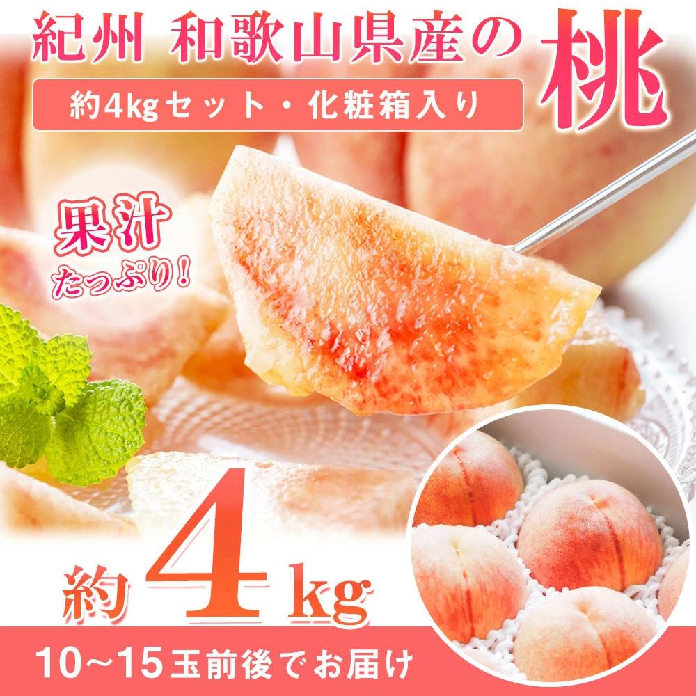 Gi IBa̎RY̓ 4kg@ϔm2026N6{菇nmUT106na̎RߒqY28000ʕEt[cE