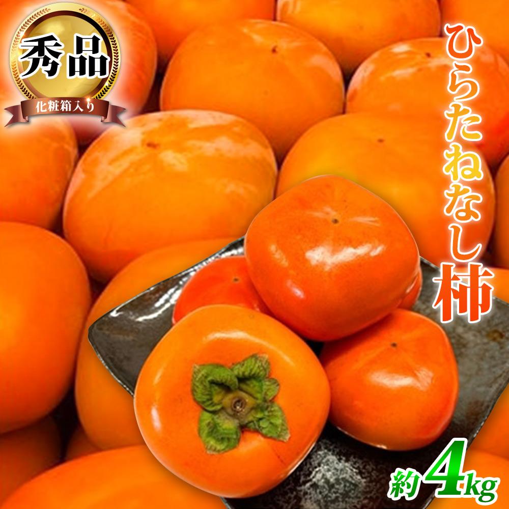 平核無柿(ひらたねなしがき)約4kg 化粧箱入 和歌山秋の味覚【2025年発送】【UT36】和歌山県那智勝浦町13000果物・フルーツその他 果物・フルーツ
