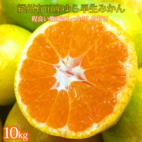 紀州和歌山有田産ゆら早生みかん 10kg【2025年発送】【UT33】和歌山県那智勝浦町17000果物・フルーツみかん・柑橘類