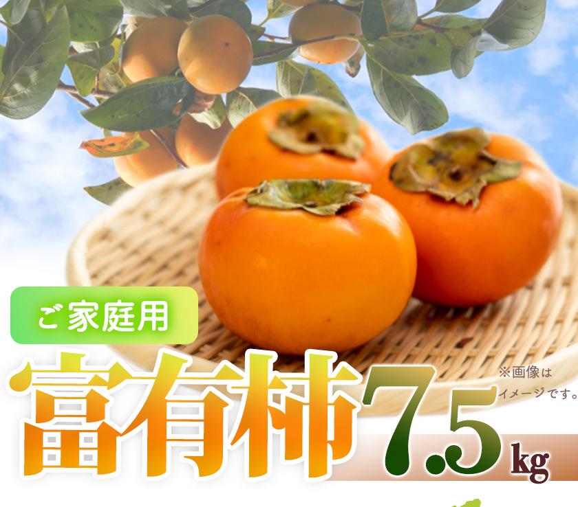 【ご家庭用わけあり】和歌山秋の味覚 富有柿 約7.5kg「2025年11月上旬以降発送予定」【UT47】和歌山県那智勝浦町20000果物・フルーツその他 果物・フルーツ