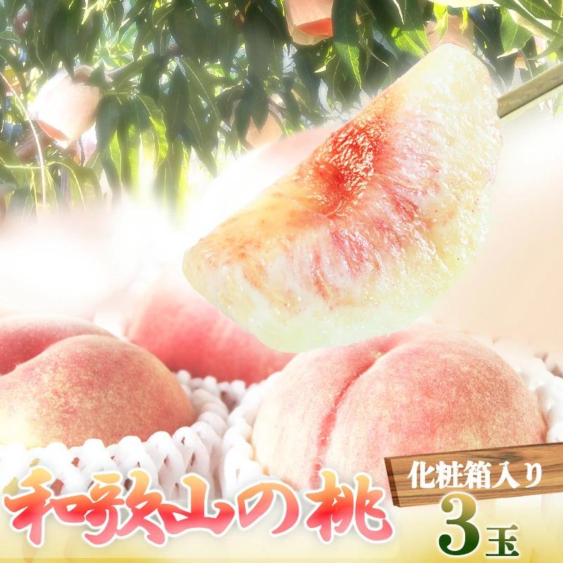Gi IBa̎RY̓ 3ʁ@ϔm2026N6{菇nmUT105na̎RߒqY10000ʕEt[cE