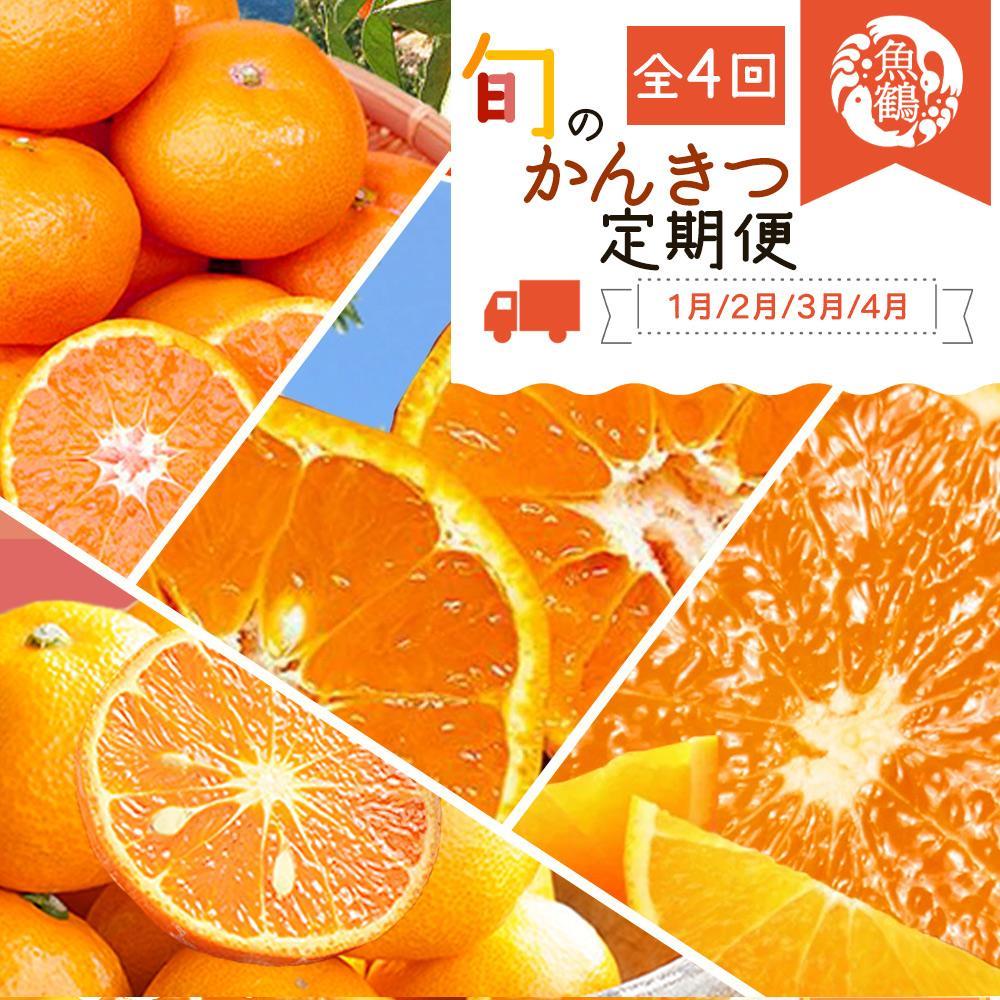 【1・2・3・4月 全4回 定期便】紀州和歌山産旬のご家庭用柑橘セット(みかん・不知火・せとか・清見)【UT130】和歌山県那智勝浦町49000果物・フルーツみかん・柑橘類