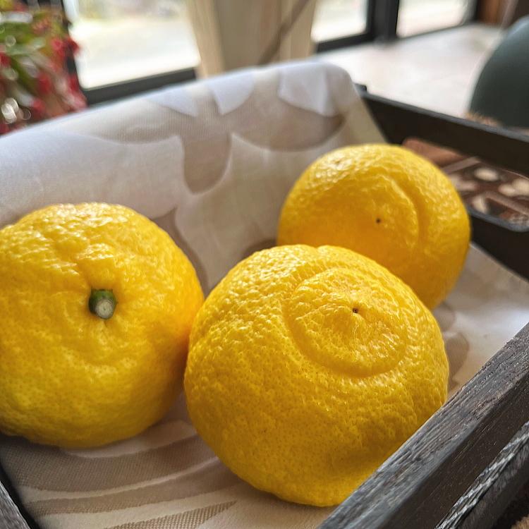 Lc炿 n ͂邩݂iƒpj3kgms\nmMS52na̎RߒqY9000ʕEt[c݂Ek