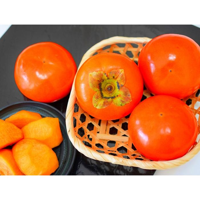 和歌山の 富有柿 約7.5kg (ご家庭用)(fr-04)【秋の美味】【先行予約】【訳あり】和歌山県那智勝浦町15000果物・フルーツその他 果物・フルーツ