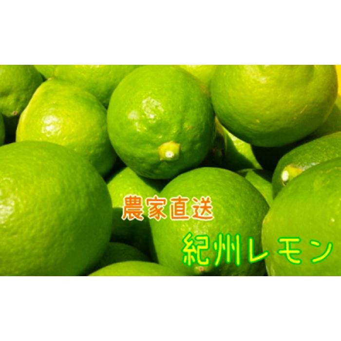 Y _ƒ IB 3kg TCY mMS122na̎RߒqY12000ʕEt[c݂Ek