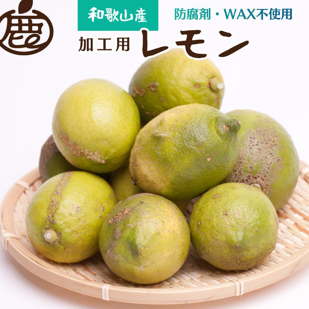 9蔭 Hp   3kg+90giݕ⏞j a̎RLcY h܁EWAXsgp S̍Y 󂠂 킯  ʏ`pmIKE81na̎RߒqY7000ʕEt[c