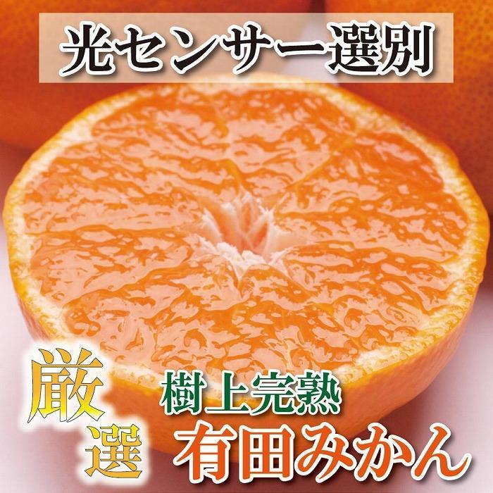 <先行予約>樹上完熟有田みかん8.5kg+255g(傷み補償分)【光センサー選果】和歌山県那智勝浦町10000果物・フルーツみかん・柑橘類