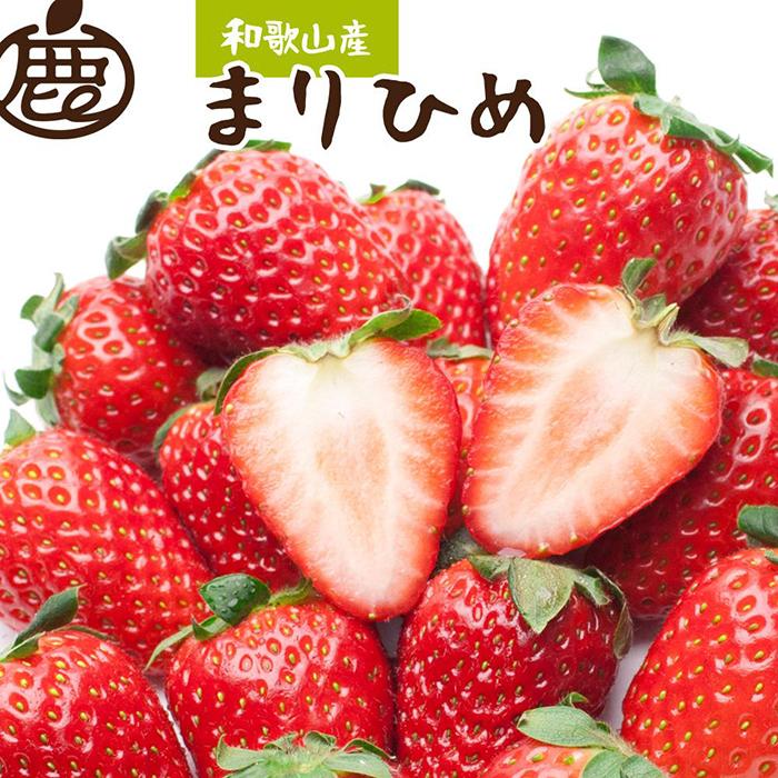 <1月より発送>朝摘み 完熟 まりひめ約600g(300g前後×2トレイ)和歌山 いちご和歌山県那智勝浦町9000果物・フルーツいちご