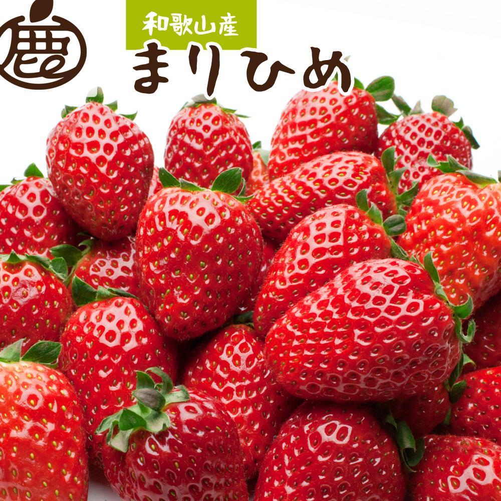 <4月より発送>朝摘み 完熟 まりひめ約1.2kg(300g前後×4トレイ)和歌山 いちご和歌山県那智勝浦町13000果物・フルーツいちご