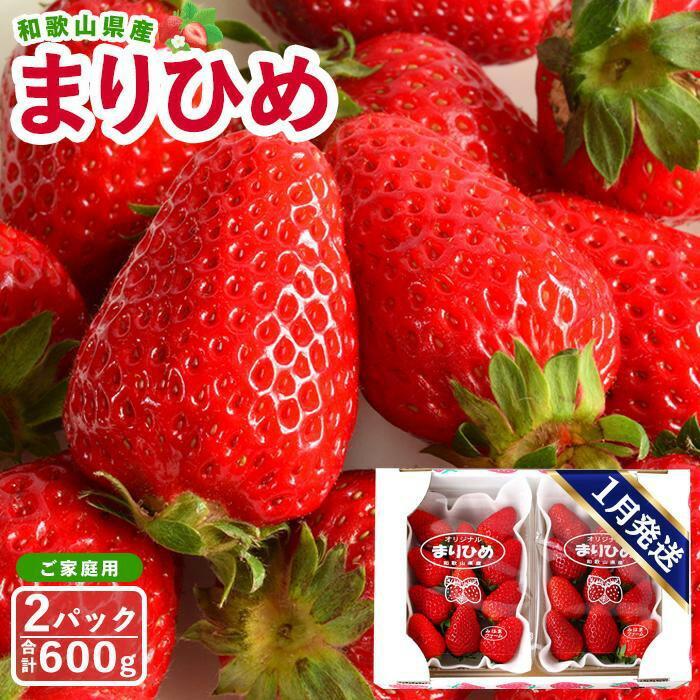 yƒpiȈՕjza̎RY܂Ђ 1i2pbNjy2026N1͂zmMG59na̎RߒqY10000ʕEt[c